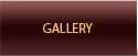 Gallery in Thiruvidaimaruthur